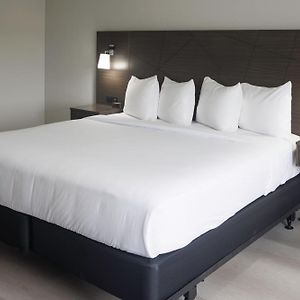 Camera standard con letto king size
